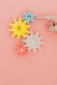Çok Renkli Dişli Çark Seti