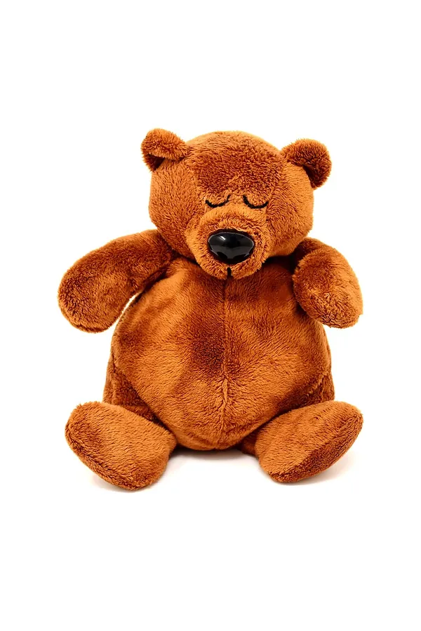 Kahverengi Uykucu Peluş Ayı